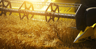 endüstriyel su arıtma sistemleri